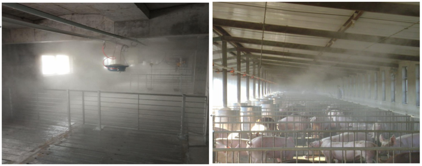 1564106124802065.png image.png